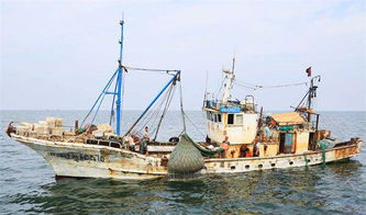 出海4天 记者体验威海渔民捕捞生活
